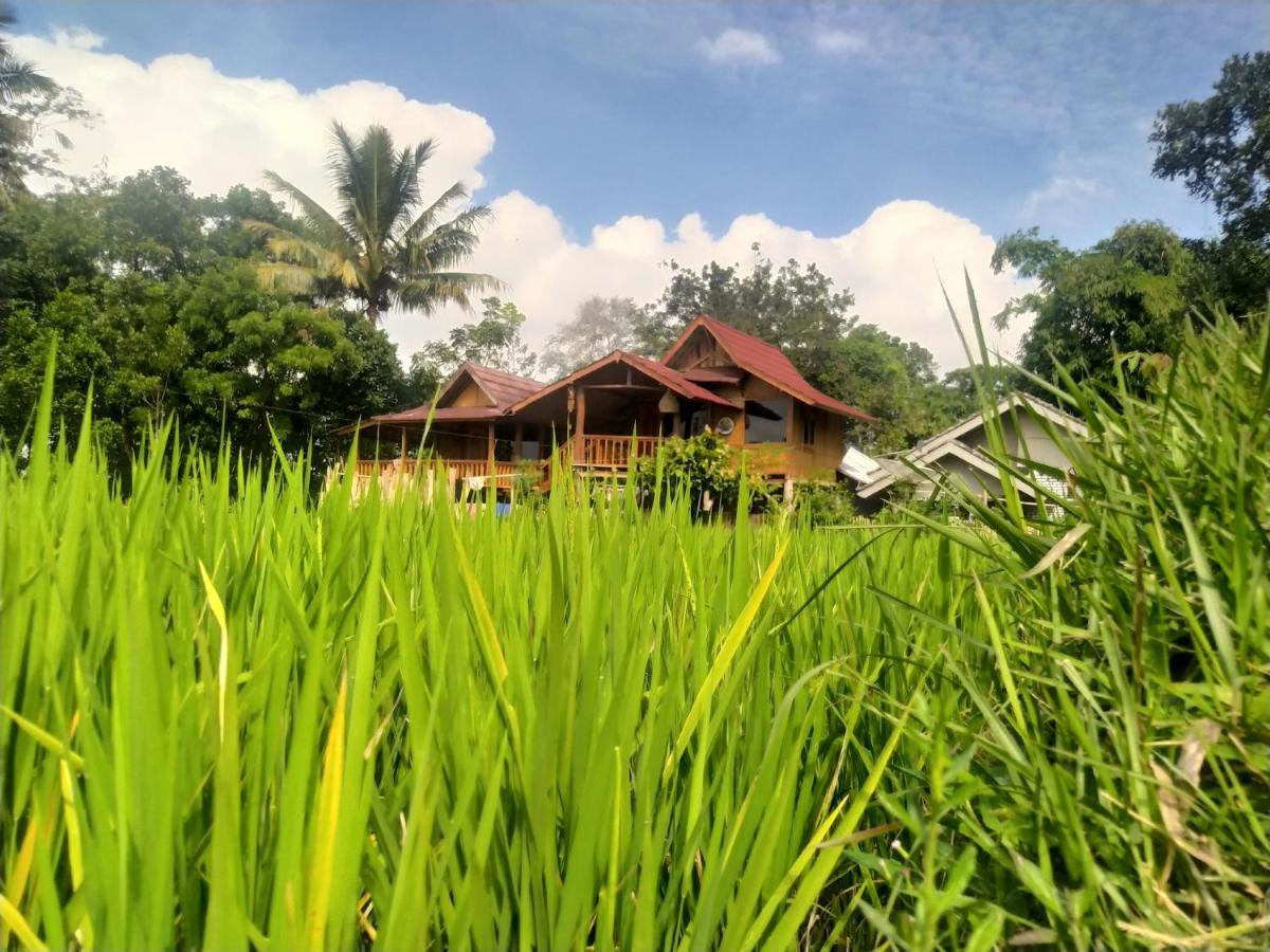 Jonny'S Places Tetebatu Exterior foto